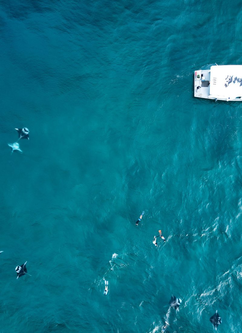 Maldives drone shot with Manta Rays