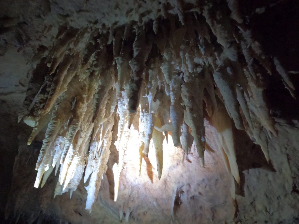 Bonaire Caves shot on Go Pro 10