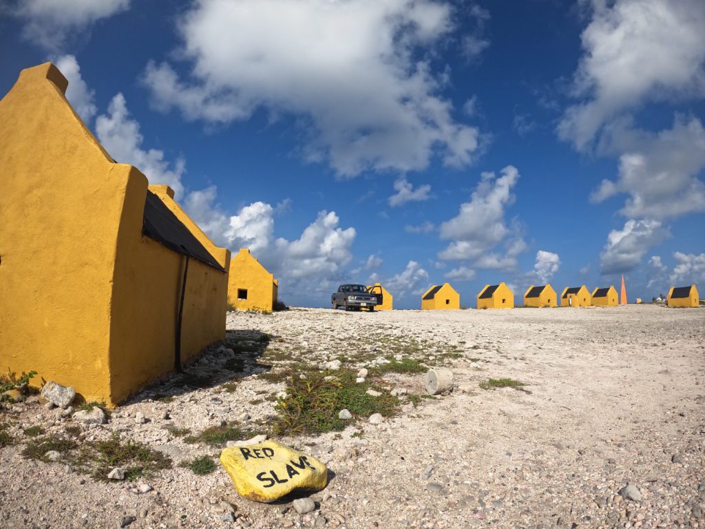 Bonaire dive site captured on Go Pro 10 by Christine Lozada