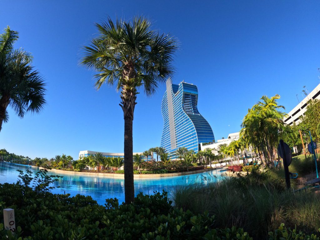 View of The Hard Rock Hollywood Hotel from the back of the Oasis Tower Pool