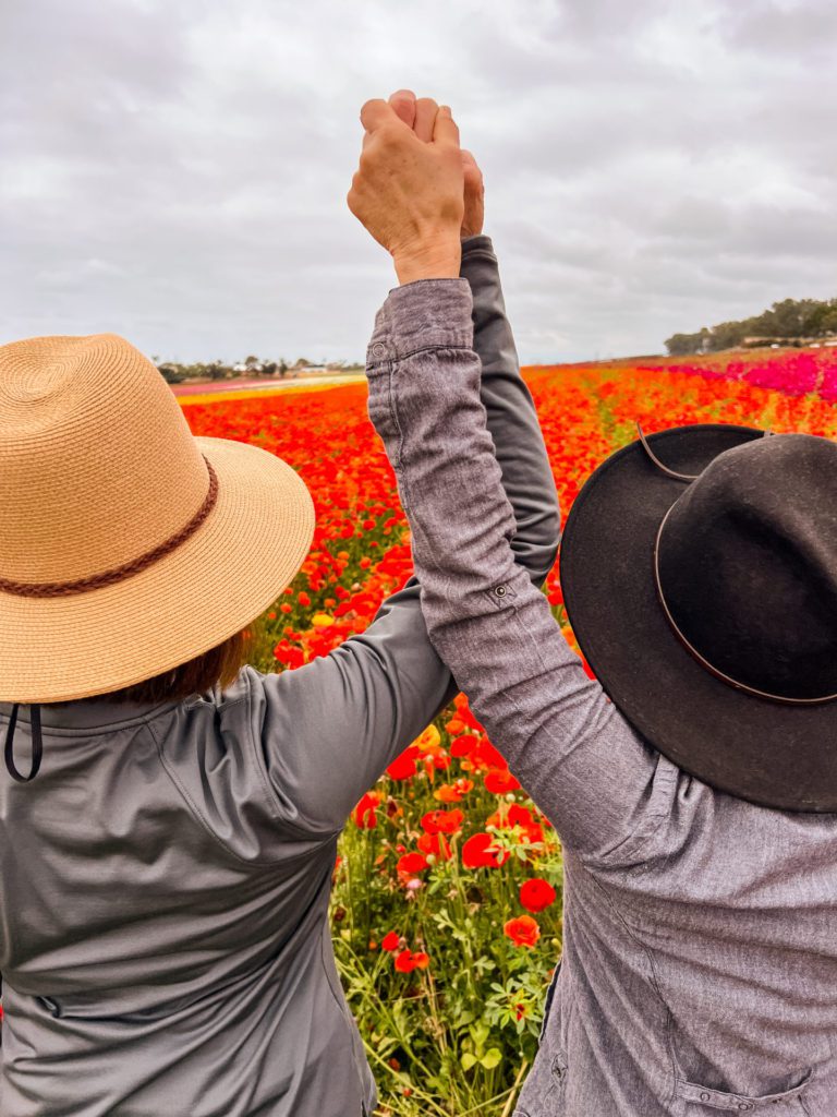 Carlsbad Flower Fields