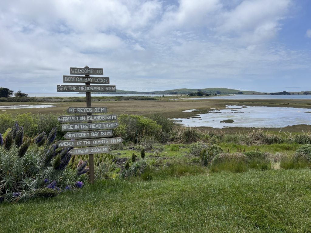 Visit Drakes or stay at Bodega Bay Lodge