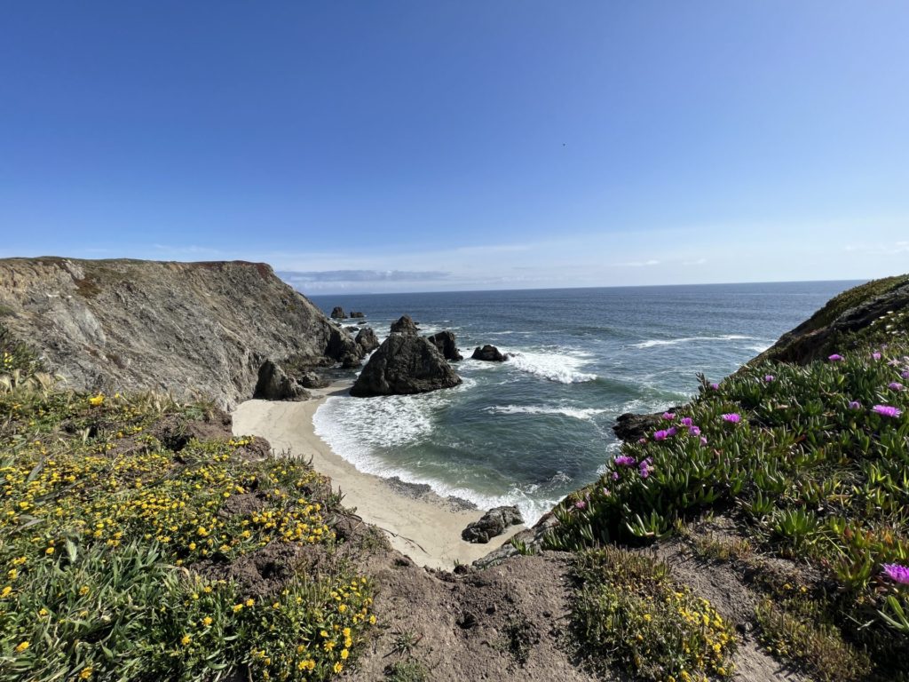 See stunning views and hike Bodega Head