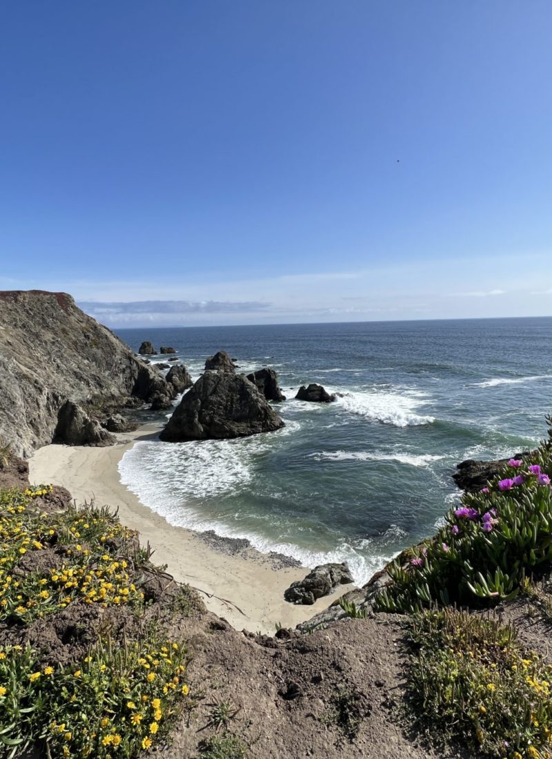 See stunning views and hike Bodega Head