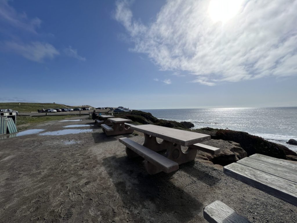 See stunning views and hike Bodega Head