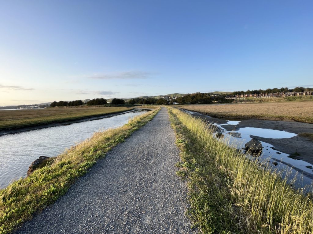 Walk Birdwalk Coastal Access Trail at Doran Beach