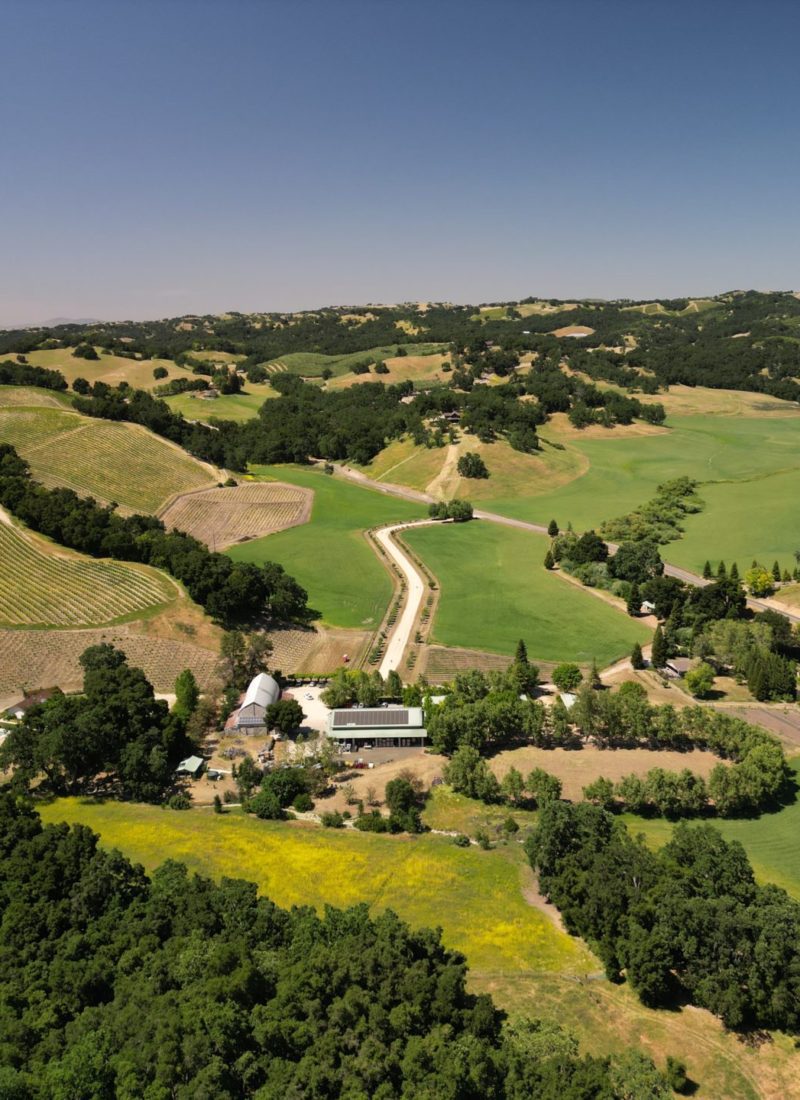 Thatcher Winery Paso Robles