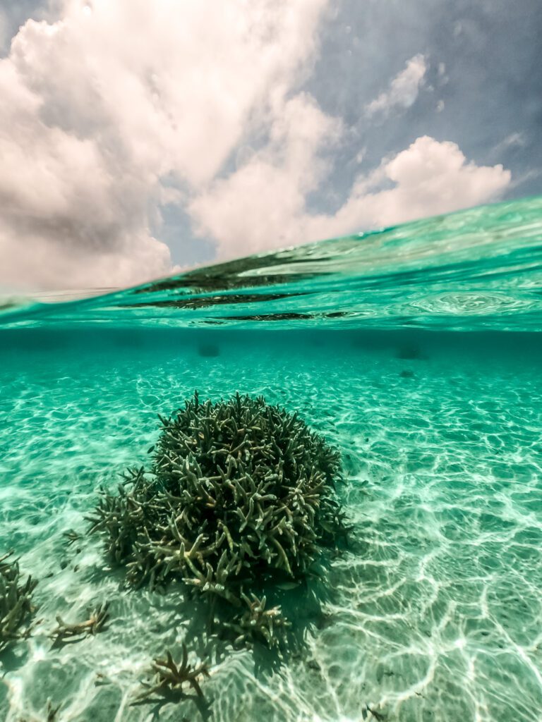 Christine Lozada Bonaire Island