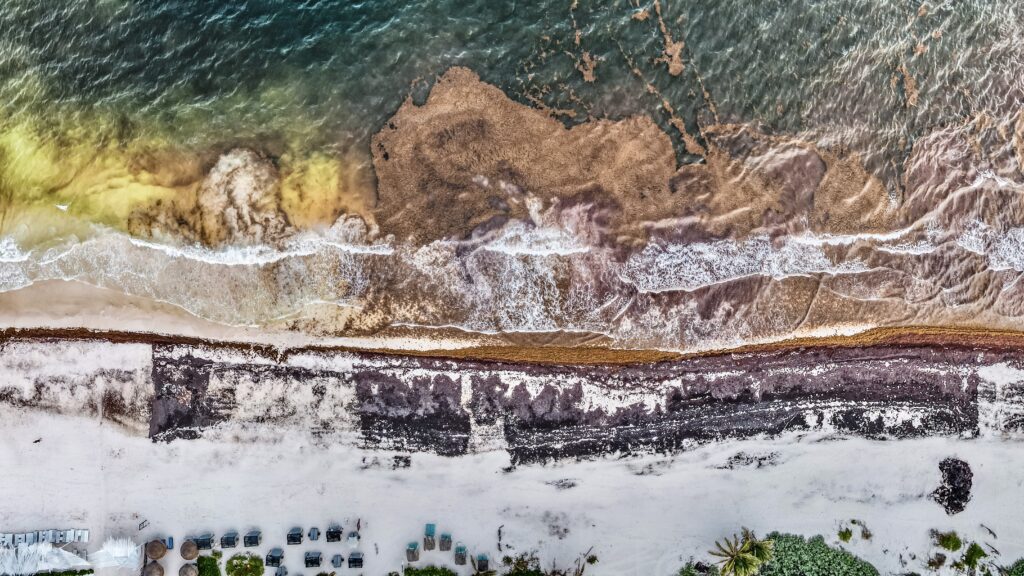 Seaweed on Tulum Beach drone shot by Christine Lozada