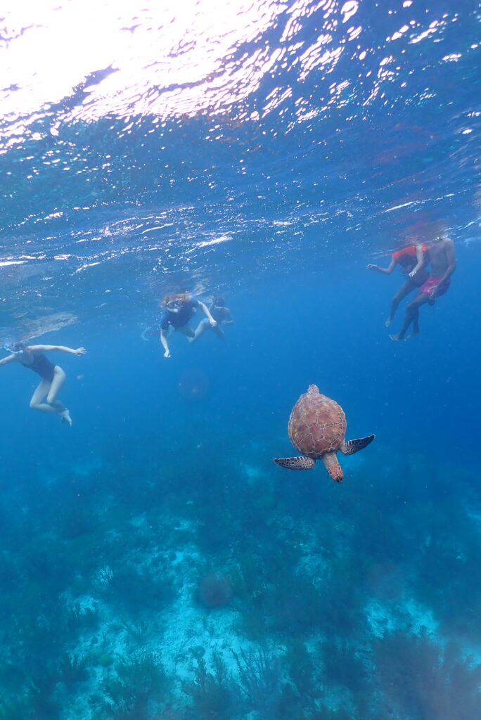 Aqua Fun Tour on Bonaire Island